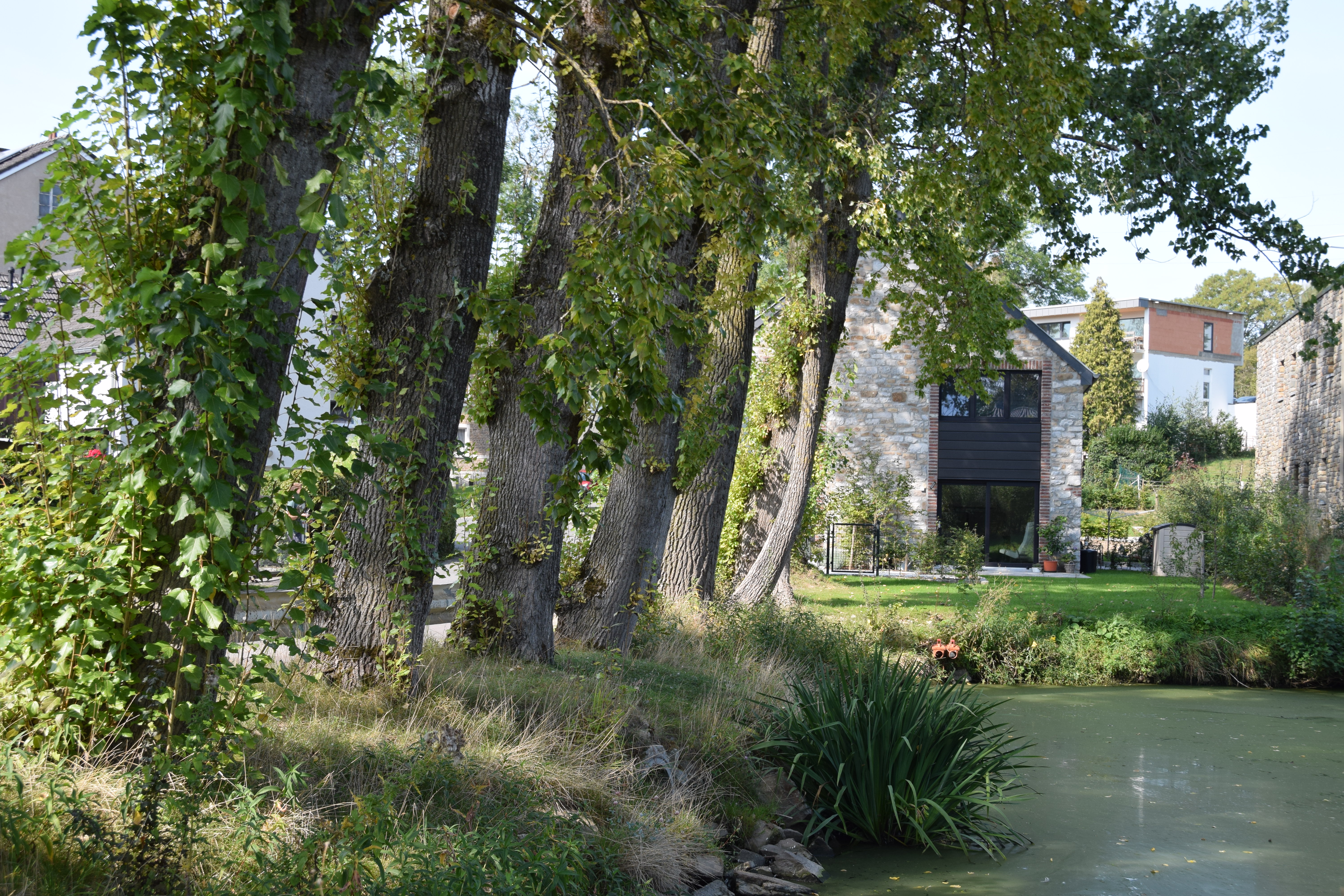 Bauernhaus Renovierung Eupen - Seitenansicht der rechten Seite von der Straße aus - Danphil-Construction Contractor