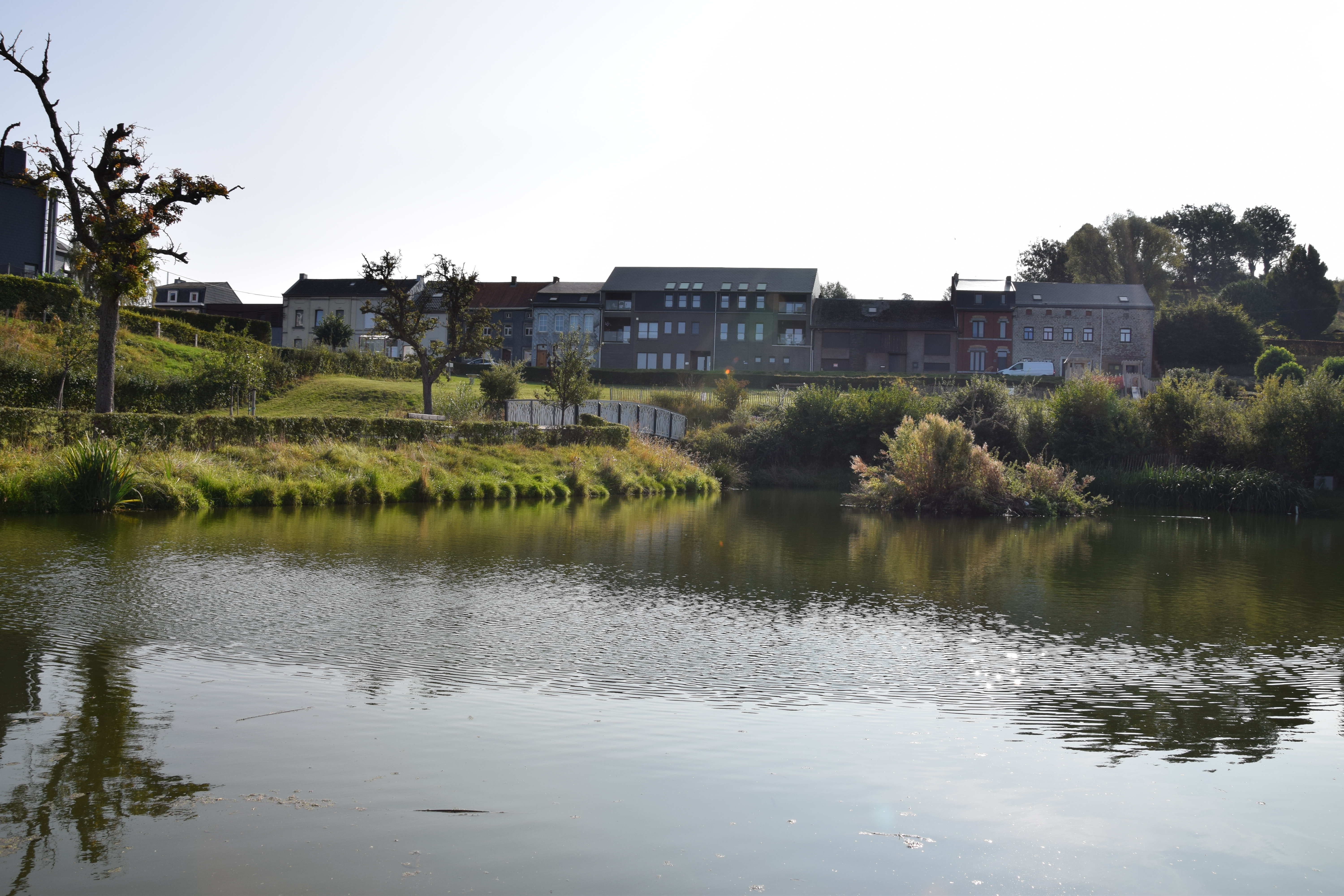 Mehrfamilienhaus Thimister Clermont - Vorderansicht hinter einem Teich von weitem - Danphil-Construction Contractor