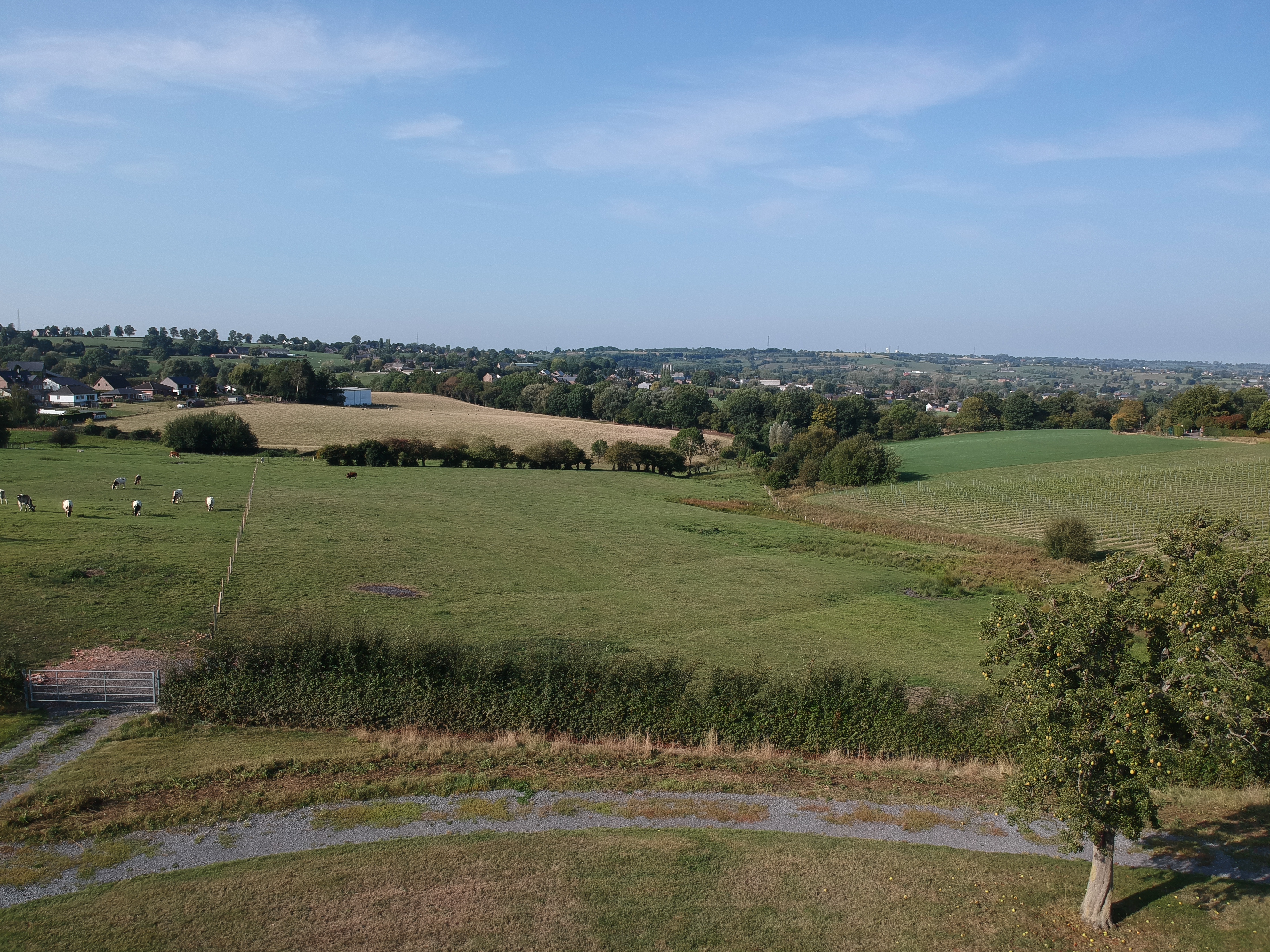 Mehrfamilienhaus Thimister Clermont - Ausblick auf die Wiesen - Danphil-Construction Contractor